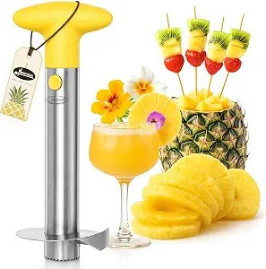 Newness Premium Pineapple Corer